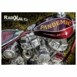 Radikal Magazine Issue #1