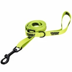 Lowbrow Customs Dog Leash - Small Dogs